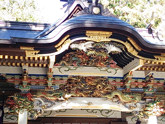 hodosanzinzya